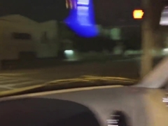 Teen hitchhiker fucks her hero in his car